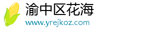 渝中区花海